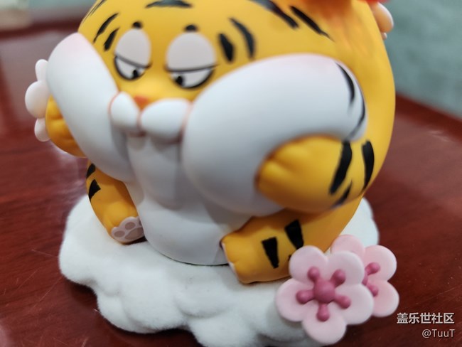 #靜物寫真——小腦虎