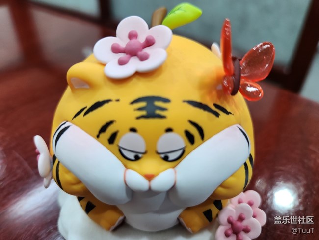 #靜物寫真——小腦虎