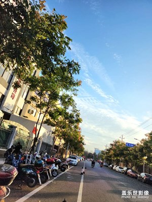 南方的初冬