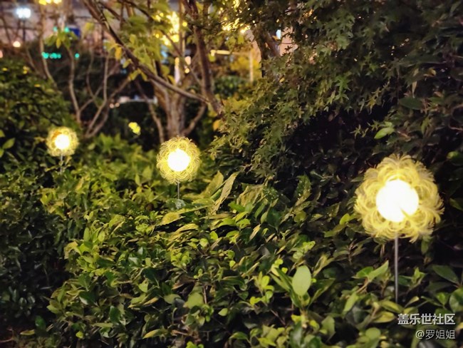 #靜物寫(xiě)真——夜燈