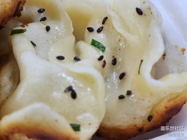 #靜物寫真——生煎和鍋貼