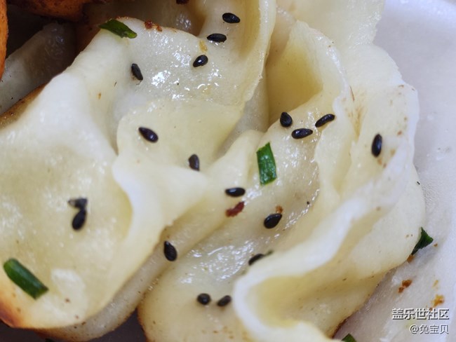 #靜物寫真——生煎和鍋貼