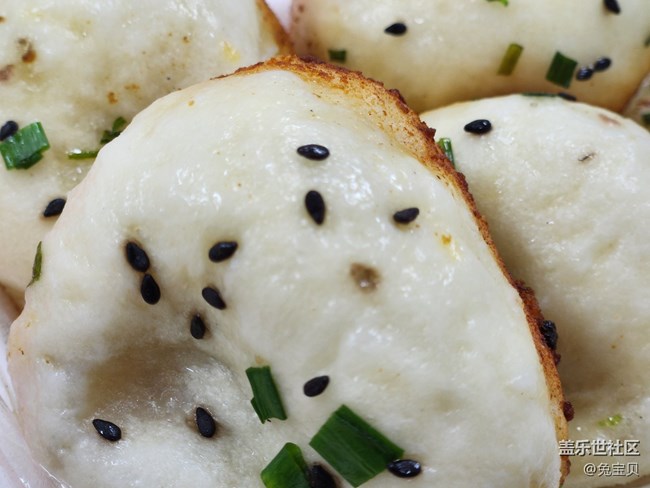 #靜物寫真——生煎和鍋貼