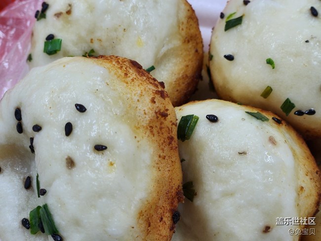 #靜物寫真——生煎和鍋貼