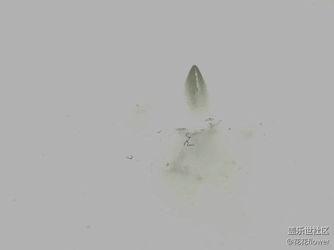 #靜物寫真——水墨感