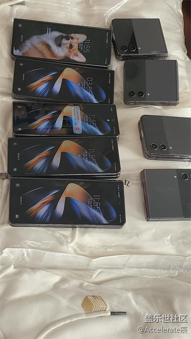 東北大區(qū)首次線下活動(dòng)“折”學(xué)之旅葫蘆島興城游記~（上）