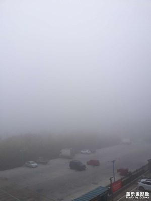 霧茫