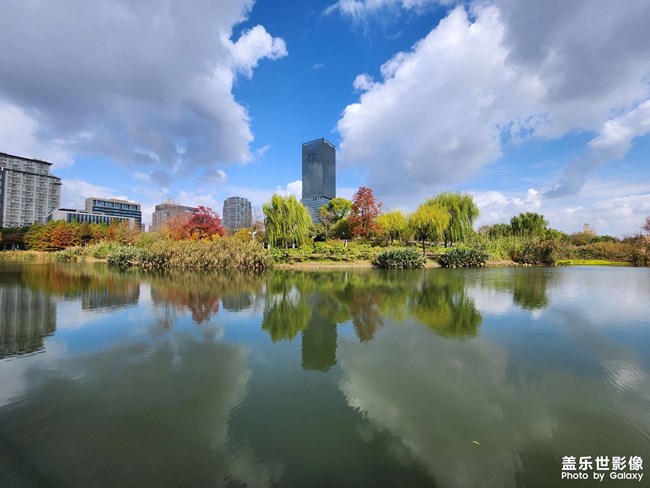 《每周星鮮事》 第128期: