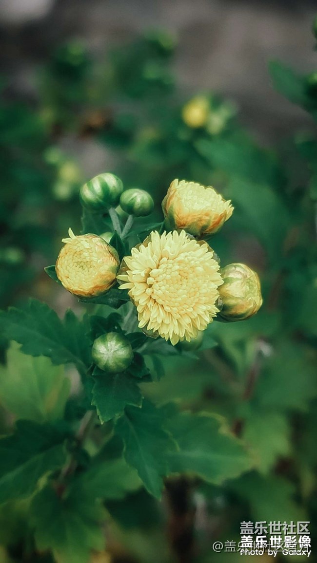 《每周星鮮事》 第128期: