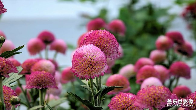 《每周星鮮事》 第128期: