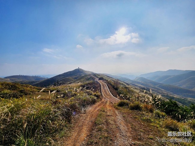 《每周星鮮事》 第128期: