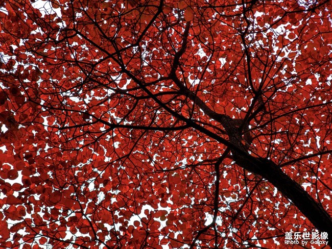 《每周星鮮事》 第128期: