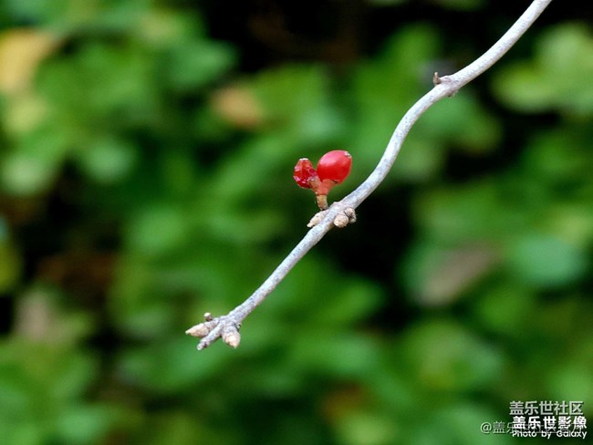 《每周星鮮事》 第128期: