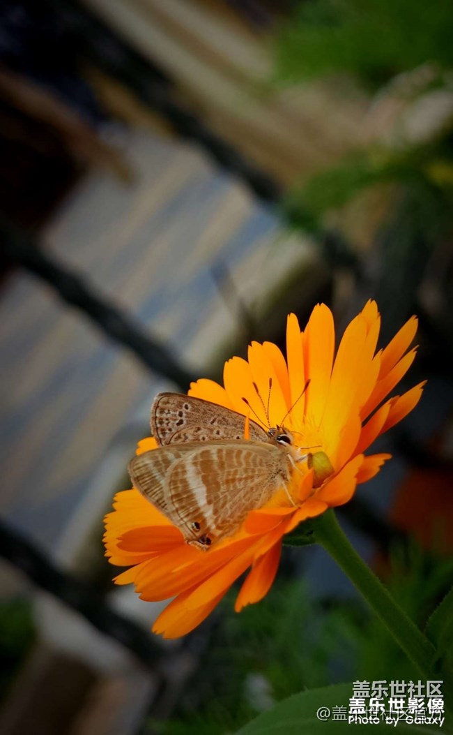 《每周星鮮事》 第128期: