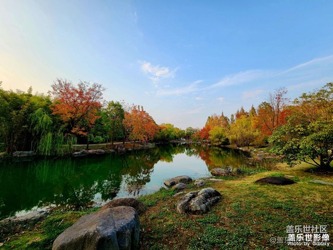 《每周星鮮事》 第128期: