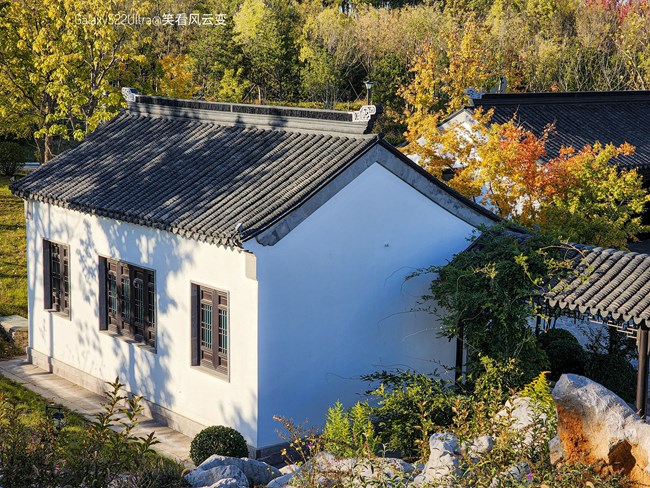 《每周星鮮事》 第128期: