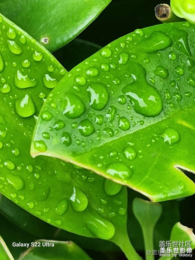 《每周星鮮事》 第128期: