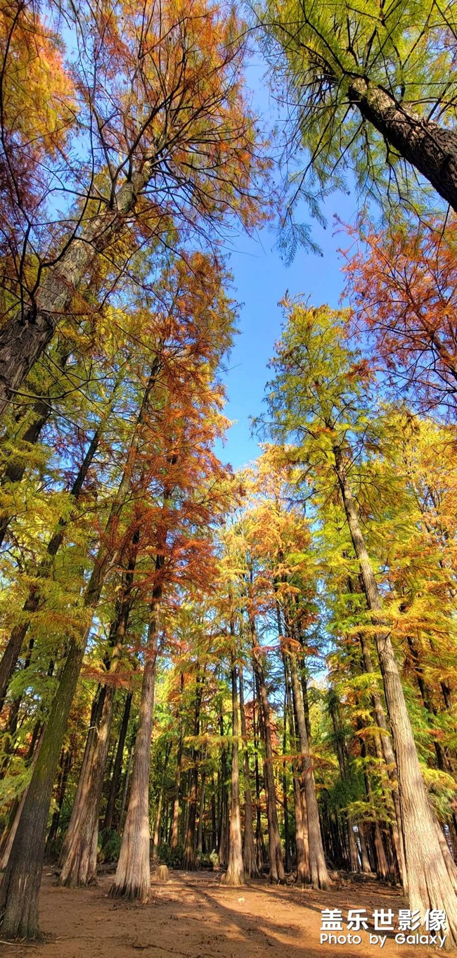 《每周星鮮事》 第128期: