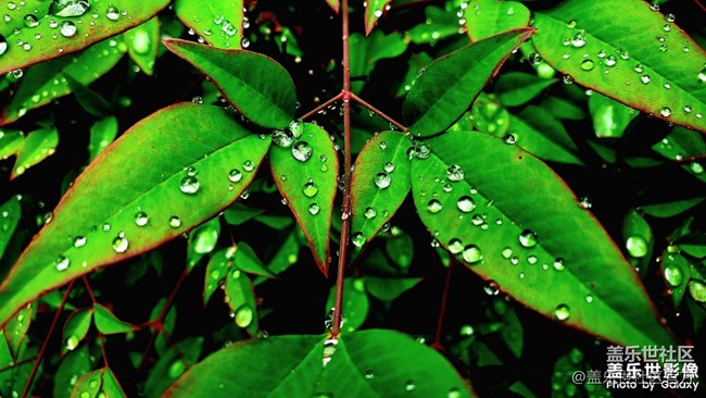 《每周星鮮事》 第128期: