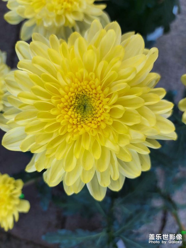 《每周星鮮事》 第128期: