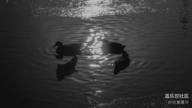 不客觀，真體驗——三星蓋樂世zfold4深度測評