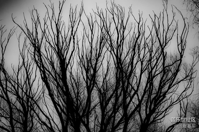 不客觀，真體驗——三星蓋樂世zfold4深度測評