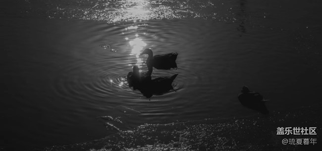 不客觀，真體驗——三星蓋樂世zfold4深度測評