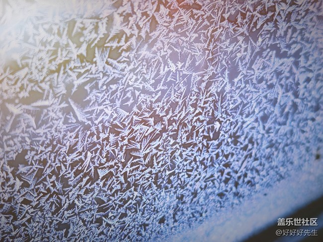 【凌冬將至】大自然的繪畫