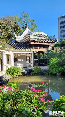 庭院