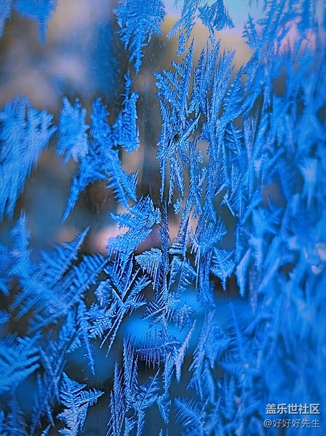 【凌冬將至】大自然的繪畫