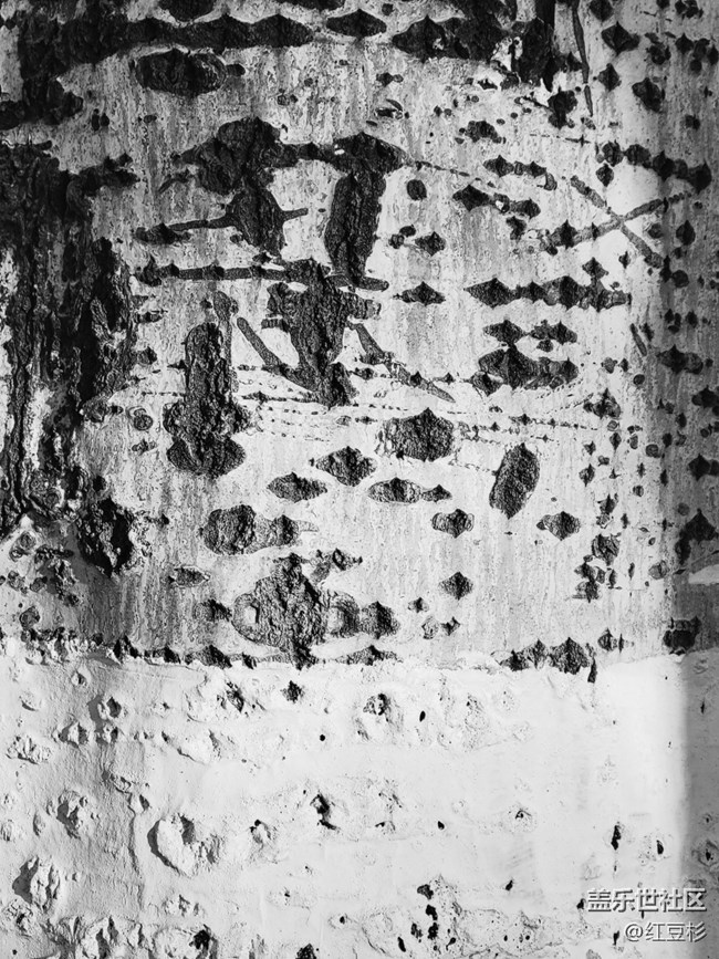 【凌冬將至】一棵大樹