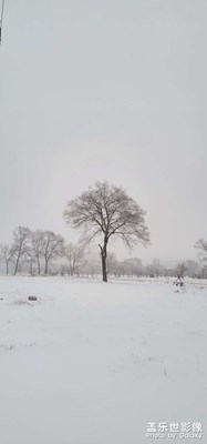 黑龍江鶴崗的雪