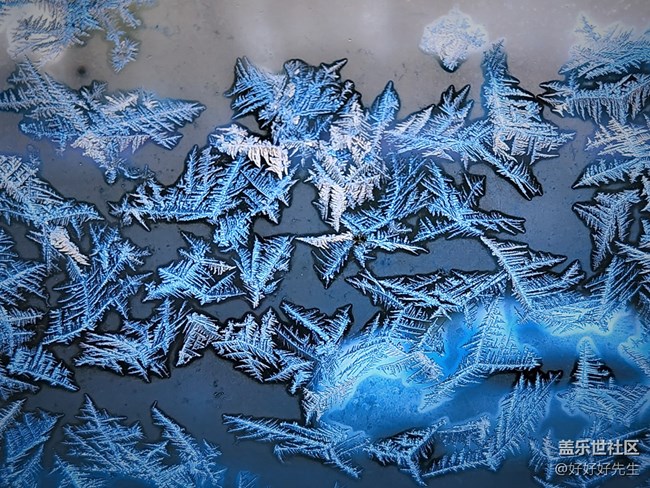 【凌冬將至】大自然的繪畫