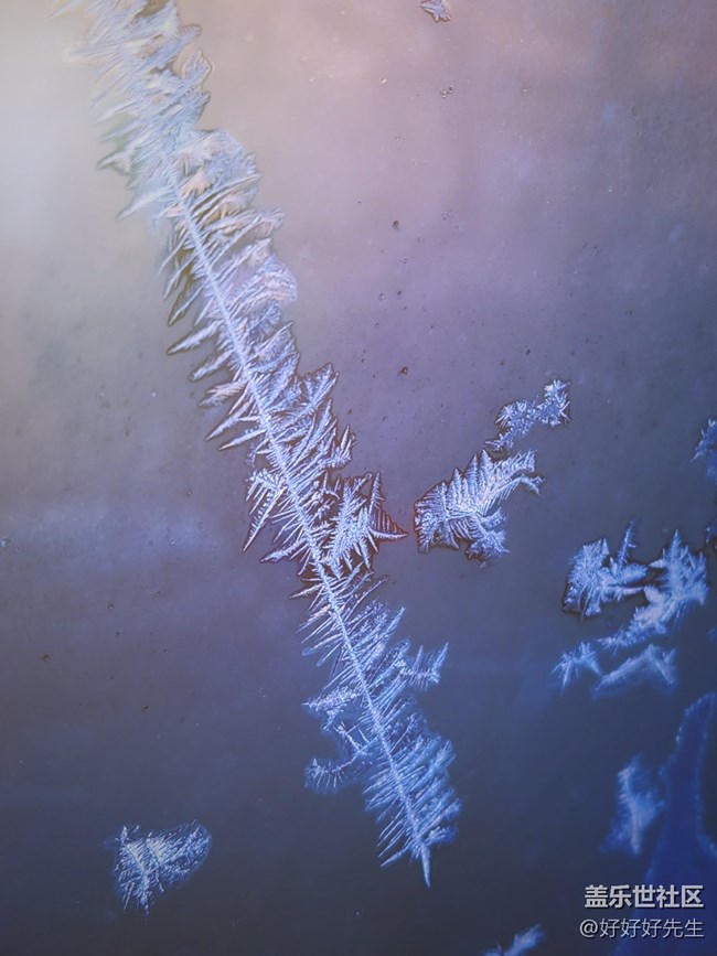 【凌冬將至】大自然的繪畫