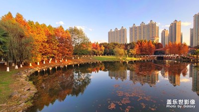 【天光凈影】+初冬季節(jié)