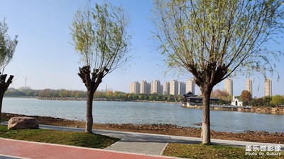隨手拍