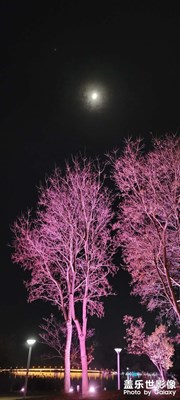 夜夜夜夜