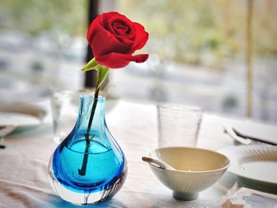 【天光凈影】+ 從容