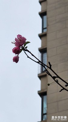 冬暖花開