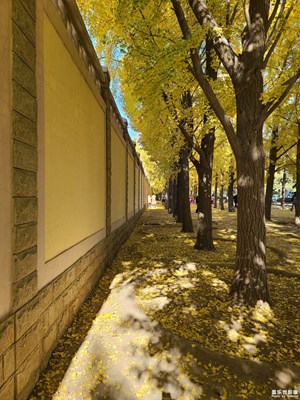 【生活隨拍】+ 變化