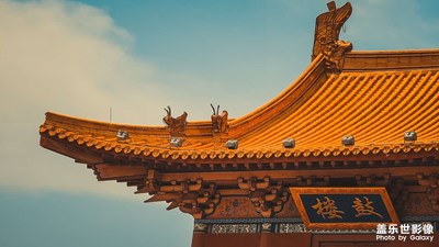 【難忘2022】之汶上佛都之旅