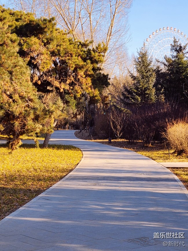 【如影隨形】樹(shù)木中的光影