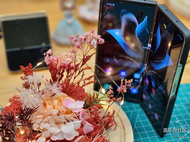 【三星W23品鑒活動】W23與永生花