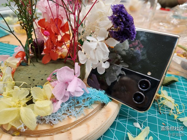 【三星W23品鑒活動(dòng)】永生花制作過程全紀(jì)錄
