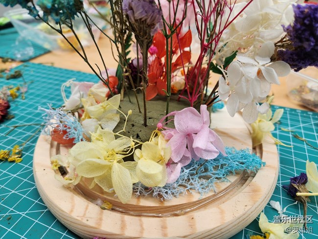 【三星W23品鑒活動(dòng)】永生花制作過程全紀(jì)錄