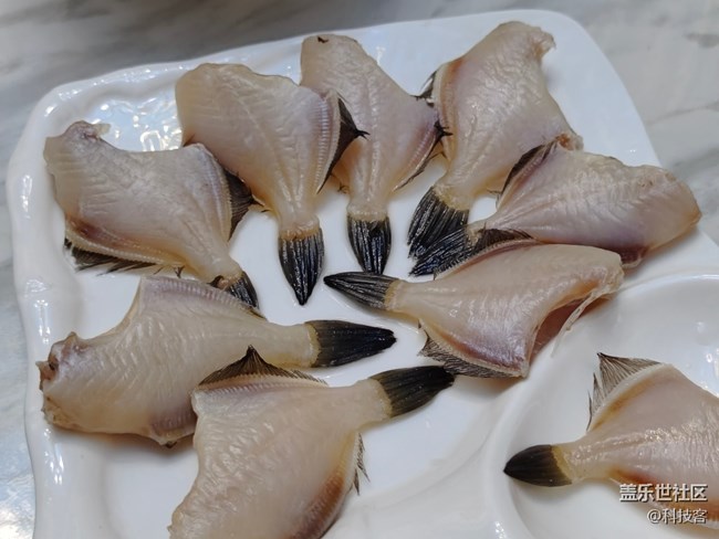 三星Z Flip3的拍照美食體驗