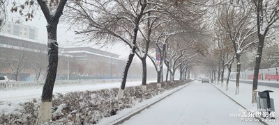 拍拍我的城+大雪