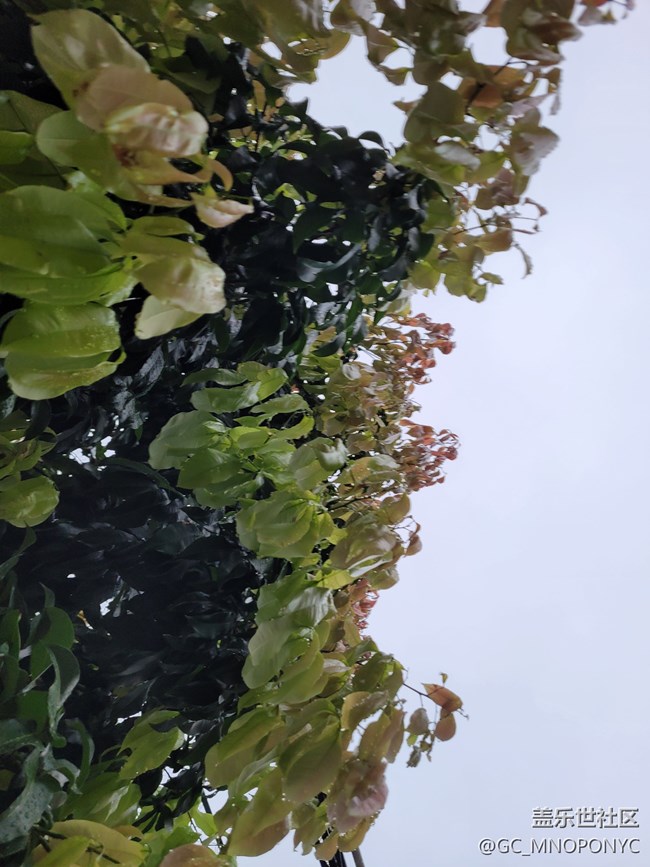 【打卡精彩生活】隨手一拍