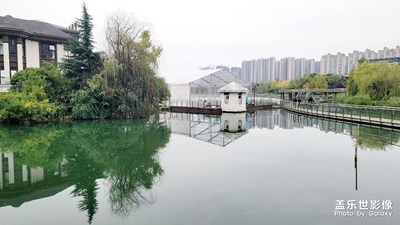 【光影記憶】+  一組雜片