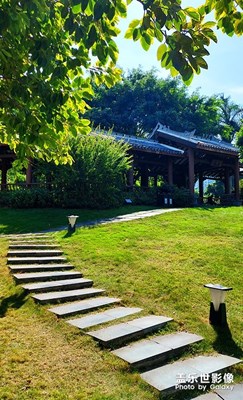 【光影記憶】隨拍